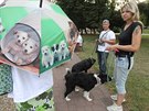 Hromadné venení ps v anovském parku na protest proti arabské klientele.
