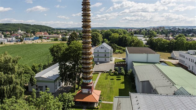 Rozkvetl komn v esk Skalici na Nchodsku (20.7.2015).