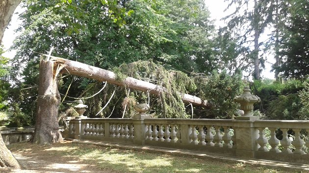 V zmeckm parku v Buchlovicch popadalo pi bouce nkolik strom.