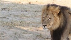 Lev Cecil na archivním snímku 