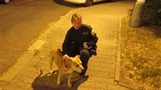Mstská policistka si dvru psa získala takka okamit.