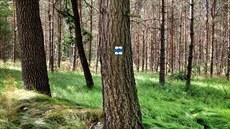 Ilustra�ní snímek