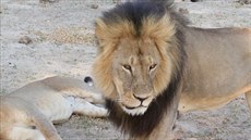 Lev Cecil na zábru z roku 2012