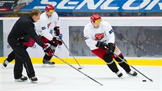 Momentka z tréninku královehradeckých hokejist�
