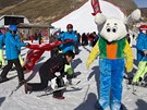 Maskot a  sjezdovka pro zimní olympijské hry v roce 2022? Peking dlá maximum,...