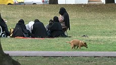 Obyvatelé Teplic opt demonstrativn venili své psy v anovském parku na...