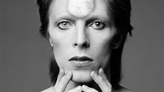 David Bowie