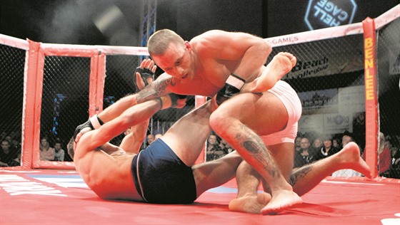 Michal Hamršmíd je bývalý bojovník MMA.