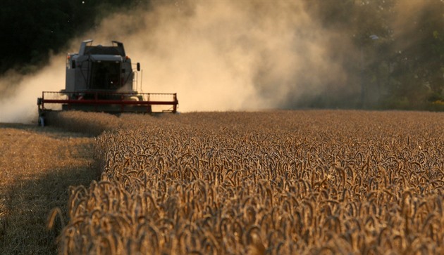 Omezení dovozu našeho obilí je nepřijatelné, píší Ukrajinci diplomatům EU