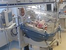 V karlovarsk� nemocnici maj� novou JIPku pro novorozence
