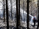 Hasii likviduj zbytky rozsáhlého poáru u obce Dobív na Rokycansku (8. srpna...