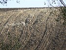 Zdevastovaný půdní blok bez ornice v Šardicích na Hodnínsku.
