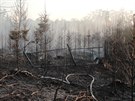 Při požáru lesa u Říčan zasahoval i vrtulník (8.8.2015).