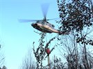 Pi poáru lesa u ían zasahoval i vrtulník (8.8.2015).