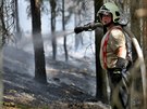 Rozsáhlý požár lesa u Dobříva na Rokycansku likvidují hasiči z Plzeňského a...