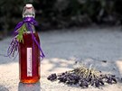 Petr Marcin��k vyr�b� levandulov� v�no. Na v�robu m� patent.