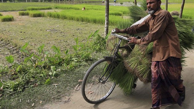 Vesnian v indick exklv, kter se 1. srpna stane soust Banglade, vede kolo pln re (31. ervence 2015).