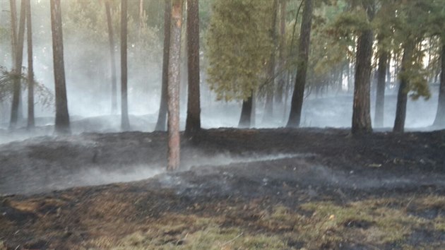 U Olen na Rakovnicku vypukl rozshl por lesa (3. srpna 2015).