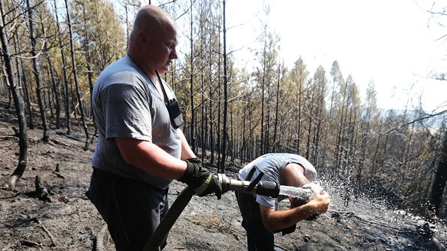 Lesn por v Dobvi - i hasii potebovali zchladit hlavu (8. srpna 2015)