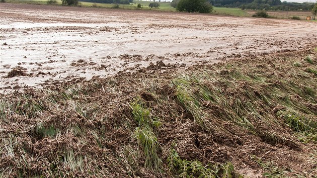 Místo potřebné vláhy odnáší prudké deště z utužených půdních bloků ornici. Na fotografii je smyv ornice na Žďársku.