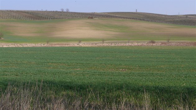 Degradací půd je nejvíce postižená jižní Morava. Světlá místa na poli na Břeclavsku jsou již zcela bez ornice.