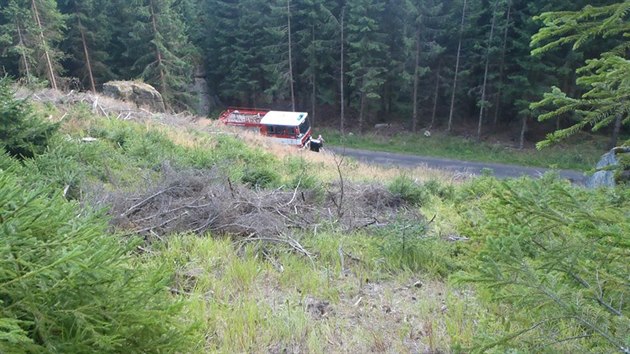 Por lesnho a travnho porostu u indelov na Sokolovsku.