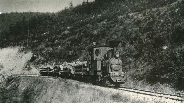 Vlaky dřív z lesů v okolí Rajnochovic svážely dřevo.