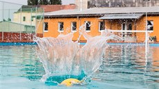 V sou�asné dob� fungují pod TJ Fezko �ty�i sportovní oddíly � OVS (vodní pólo,...