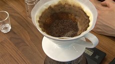 Žížaly promění kávovou sedlinu i další odpad z kuchyně v cenný substrát, který je požehnáním pro rostliny.