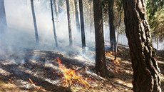 Rozsáhlý poár lesa u Dobíva na Rokycansku likvidují hasii z Plzeského a...