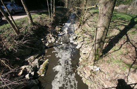 Za zneitní potoka mohl únik kejdy.