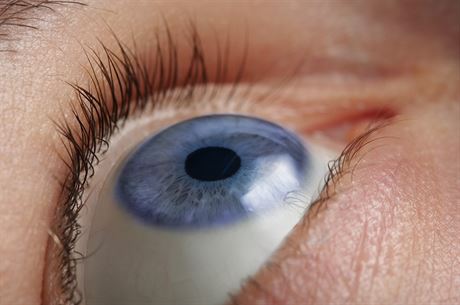 Lidské oko je velmi sloitý a zárove citlivý orgán