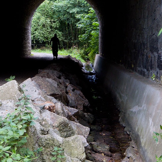 Ostaovský potok u viaduktu v libereckém Machnín je tém vyschlý.