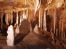 Javoíské jeskyn, krápníková výzdoba