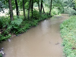 Koryto eky Rokytné v Ivanicích na Brnnsku