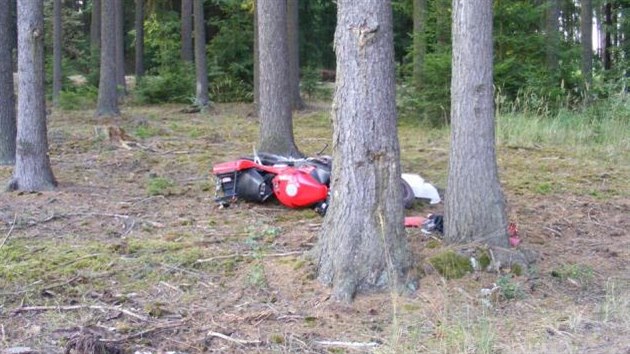Motork jel v pravotoiv zatce mezi obcemi Podol a Hlasivo rovn a skonil v lese. Nehodu nepeil.