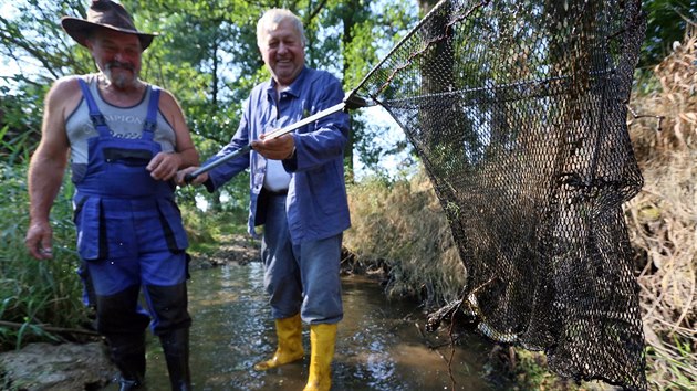 Milan Cíba (v klobouku) a jeho bratranec František Jackanič zachraňují ryby z tůní, které vznikly ve vyschlém korytě Lipoltovského potoka poblíž Mokřiny u Milíkova (13. srpna 2015).