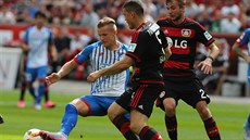 CHVILKA RADOSTI. Na zaátku utkání sice Pavel Kadeábek (uprosted) se spoluhrái z Hoffenheimu slavil gól, nakonec ale jeho tým s Leverkusenem prohrál 1:2.