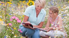 Ilustra�ní snímek