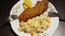 ízek s bramborovým salátem. ilustraní snímek