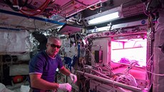 Steve Swanson v roce 2014 na ISS ped systémem Veggie-1