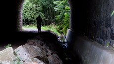 Ostaovský potok u viaduktu v libereckém Machnín je tém vyschlý.