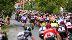 Momentka ze tvrté etapy Czech Cycling Tour