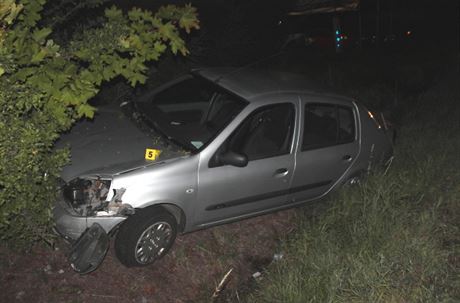 Opilý idi naboural policejní auto a skonil v píkop.