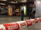 Policisté kvůli nahlášené bombě v jedné z vlakových souprav uzavřeli nástupiště...