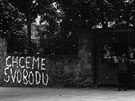 Nápis Chceme svobodu byl v roce 1968 na kiovatce jihlavských ulic Fritzova a...