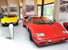 Prototypy zkrachovalé karosárny Bertone míí do aukce. (1987 Bertone...