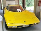 Prototypy zkrachovalé karosárny Bertone míí do aukce. (1975 Bertone Lancia...