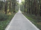 Kunovský les protíná frekventovaná cyklostezka.