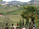 Víno, olivovníky a nádherná zákoutí doprovázejí návtvníky Brd na kadém kroku.